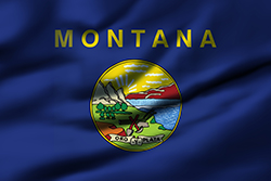 Montana - State Flag